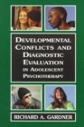 Image for Developmental Conflicts and Diagnostic Evaluation in Adolescent Psychotherapy