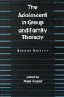 Image for Adolescent in Group and Family Therapy