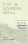 Image for Into the mountain stream  : psychotherapy and Buddhist experience