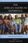 Image for The African American Experience : Psychoanalytic Perspectives