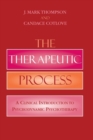 Image for The Therapeutic Process : A Clinical Introduction to Psychodynamic Psychotherapy
