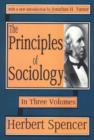 Image for The Principles of Sociology : Volumes 1, 2 &amp; 3