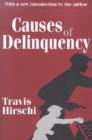 Image for Causes of Delinquency