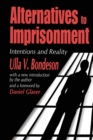 Image for Alternatives to imprisonment  : intentions and reality