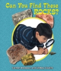 Image for Can You Find These Rocks?