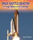 Image for Space Shuttle Disaster