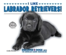 Image for I Like Labrador Retrievers!