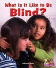 Image for What Is It Like to Be Blind?