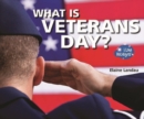 Image for What Is Veterans Day?