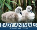 Image for Baby Animals of Lakes and Ponds