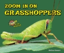Image for Zoom in on Grasshoppers
