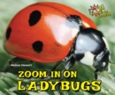 Image for Zoom in on Ladybugs