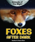 Image for Foxes After Dark