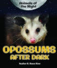 Image for Opossums After Dark
