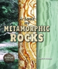Image for Look at Metamorphic Rocks