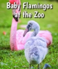 Image for Baby Flamingos at the Zoo