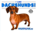 Image for I Like Dachshunds!