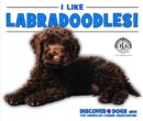 Image for I Like Labradoodles!