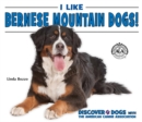 Image for I Like Bernese Mountain Dogs!