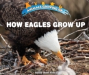Image for How Eagles Grow Up
