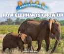 Image for How Elephants Grow Up