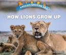 Image for How Lions Grow Up