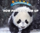 Image for How Pandas Grow Up