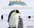 Image for How Penguins Grow Up