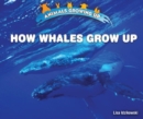Image for How Whales Grow Up