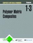 Image for Composite Materials Handbook (CHM-17): Volumes 1, 2 and 3
