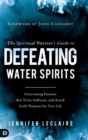 Image for The Spiritual Warrior&#39;s Guide to Defeating Water Spirits