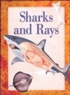 Image for Sharks and Rays
