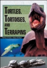 Image for Turtles, Tortoises and Terrapins