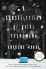 Image for A constellation of vital phenomena: a novel