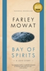 Image for Bay of Spirits : A Love Story