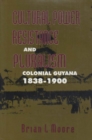 Image for Cultural Power, Resistance, and Pluralism : Colonial Guyana, 1838-1900 : Volume 22