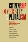 Image for Citizenship, Diversity, and Pluralism