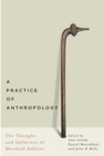 Image for A Practice of Anthropology : The Thought and Influence of Marshall Sahlins