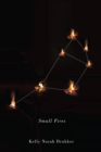 Image for Small Fires