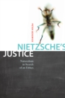 Image for Nietzsche&#39;s justice: naturalism in search of an ethics