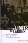 Image for The Limits of Labour : Class Formation and the Labour Movement in Calgary, 1883-1929