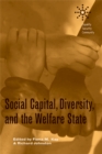 Image for Social Capital, Diversity, and the Welfare State