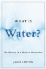 Image for What is water?  : the history of a modern abstraction