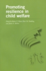 Image for Promoting Resilience in Child Welfare