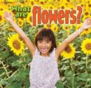 Image for What are flowers?