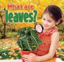 Image for What are leaves?