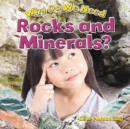 Image for Why Do We Need Rocks and Minerals?