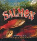 Image for The Life Cycle of a Salmon