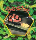 Image for The Life Cycle of a Beetle