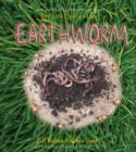 Image for The Life Cycle of an Earthworm